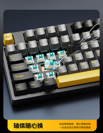 Wireless Mechanical Keyboard – 98 Keys, RGB, Bluetooth & 2.4GHz, Hot-Swap USB-C
