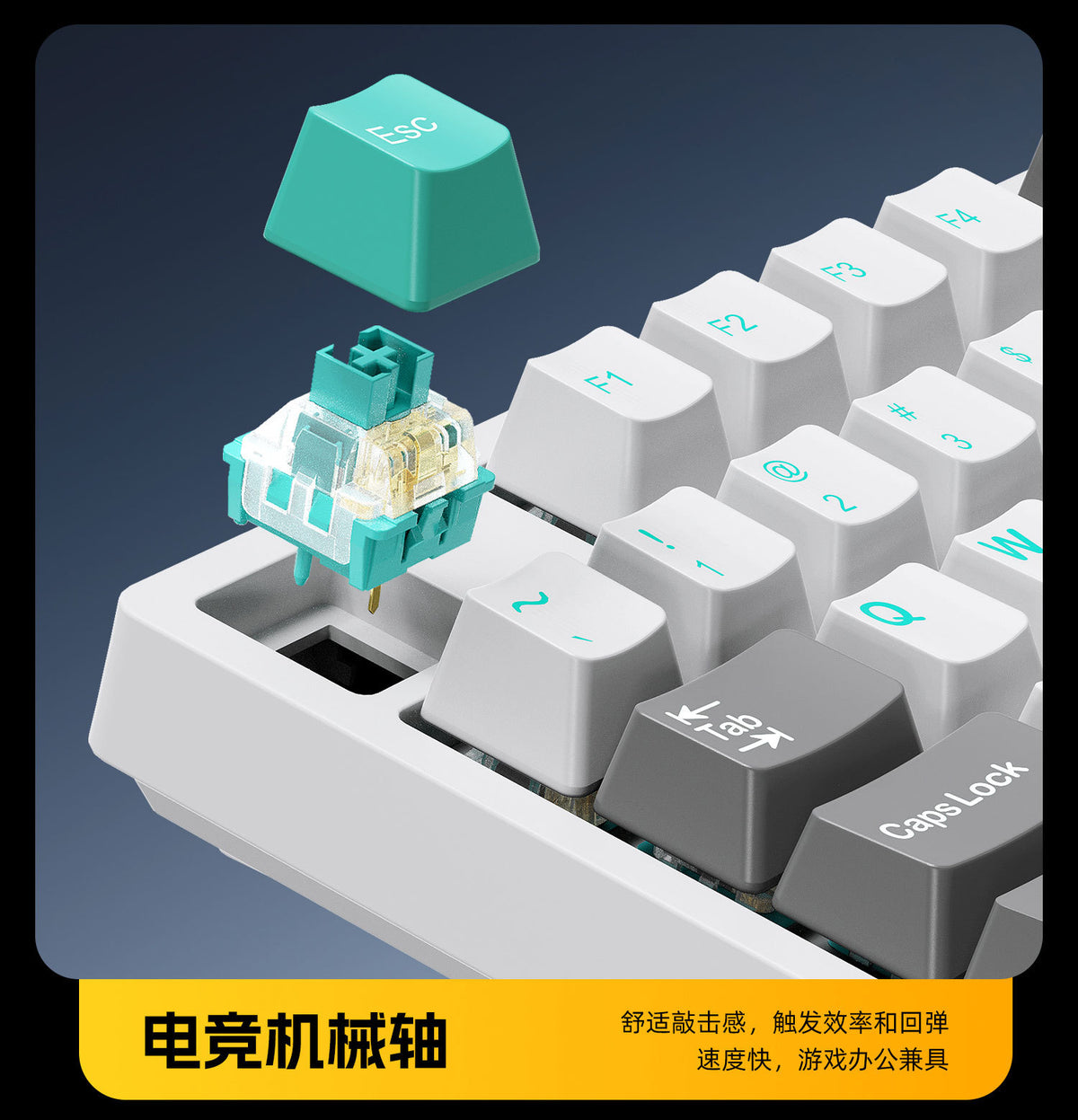 Wireless Mechanical Keyboard – 98 Keys, RGB, Bluetooth & 2.4GHz, Hot-Swap USB-C