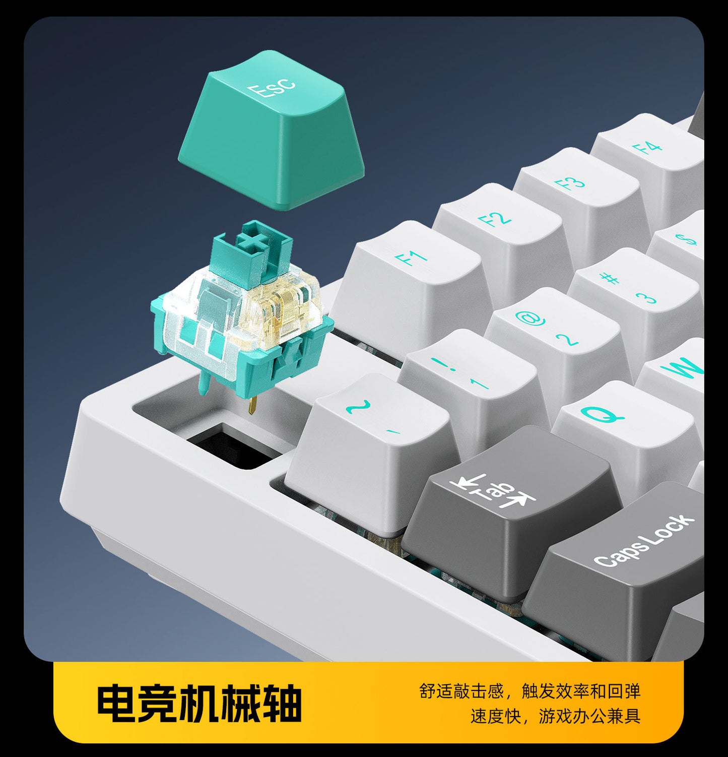 Wireless Mechanical Keyboard – 98 Keys, RGB, Bluetooth & 2.4GHz, Hot-Swap USB-C