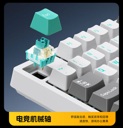 Wireless Mechanical Keyboard – 98 Keys, RGB, Bluetooth & 2.4GHz, Hot-Swap USB-C